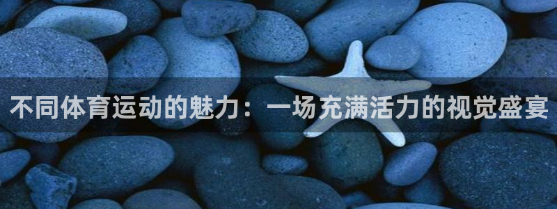 bsports官网 必一运动：不同体育运动的魅力：一场充满活力的视觉盛宴