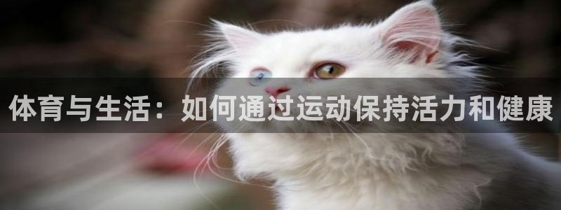 必一运动体育官网入口：体育与生活：如何通过运动保持活力和健康