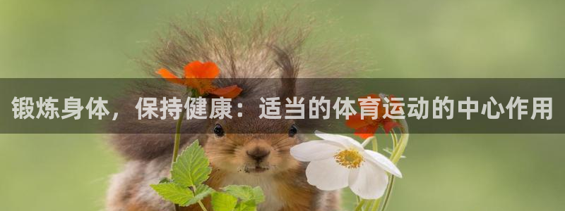 必一运动体育官网入口：锻炼身体，保持健康：适当的体育运动的中心作用