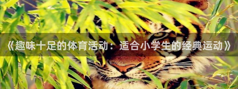 必一运动体育：《趣味十足的体育活动：适合小学生的经典运动》