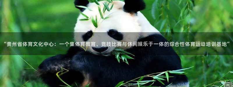 bsport必一运动：“贵州省体育文化中心：一个集体育教育、竞技比赛与休闲娱乐于一体的综合性体育运动培训基地”