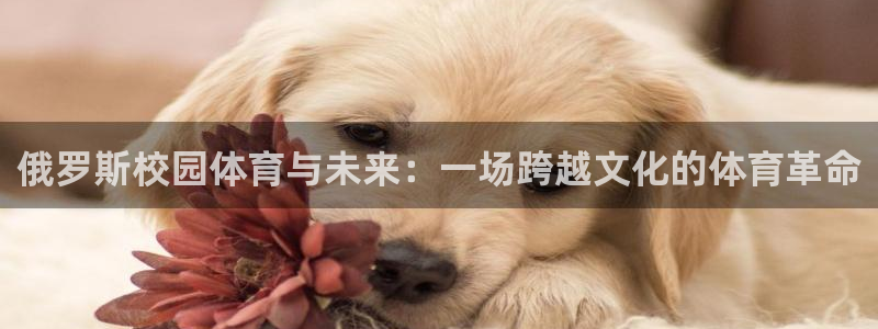 必一运动体育官网入口：俄罗斯校园体育与未来：一场跨越文化的体育革命