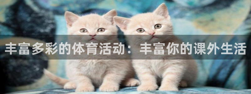 b体育必一运动官网：丰富多彩的体育活动：丰富你的课外生活