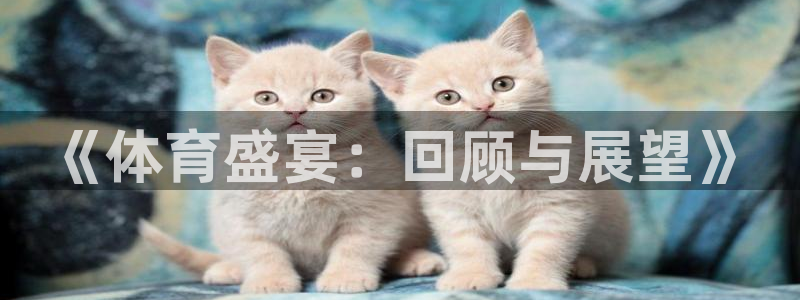 bsports官网 必一运动：《体育盛宴：回顾与展望》