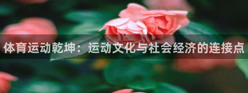 bsport必一运动：体育运动乾坤：运动文化与社会经济的连接点