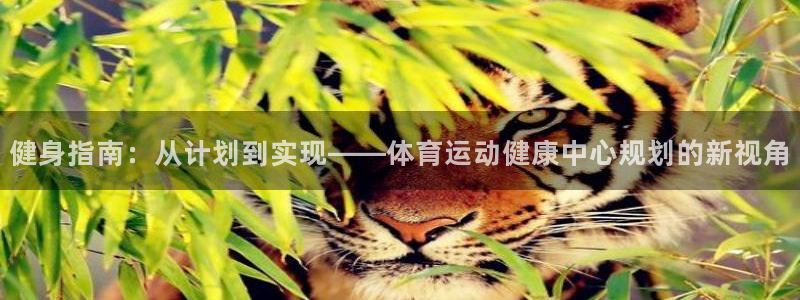 必一运动app：健身指南：从计划到实现——体育运动健康中心规划的新视角