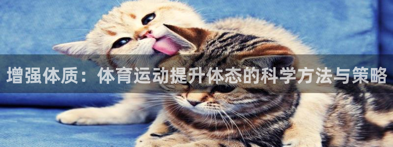 必一运动体育官网：增强体质：体育运动提升体态的科学方法与策略